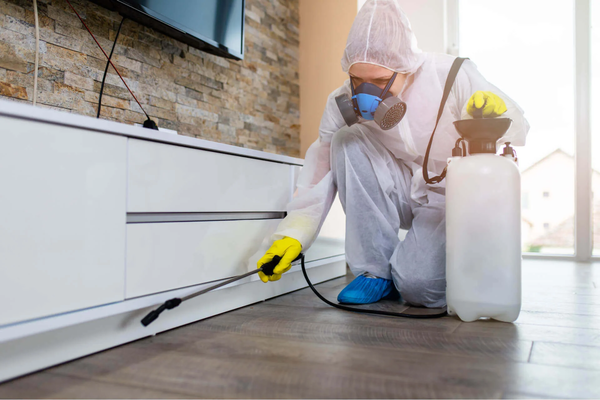 furniture pest control 1 (1) (6) Furniture Pest Control