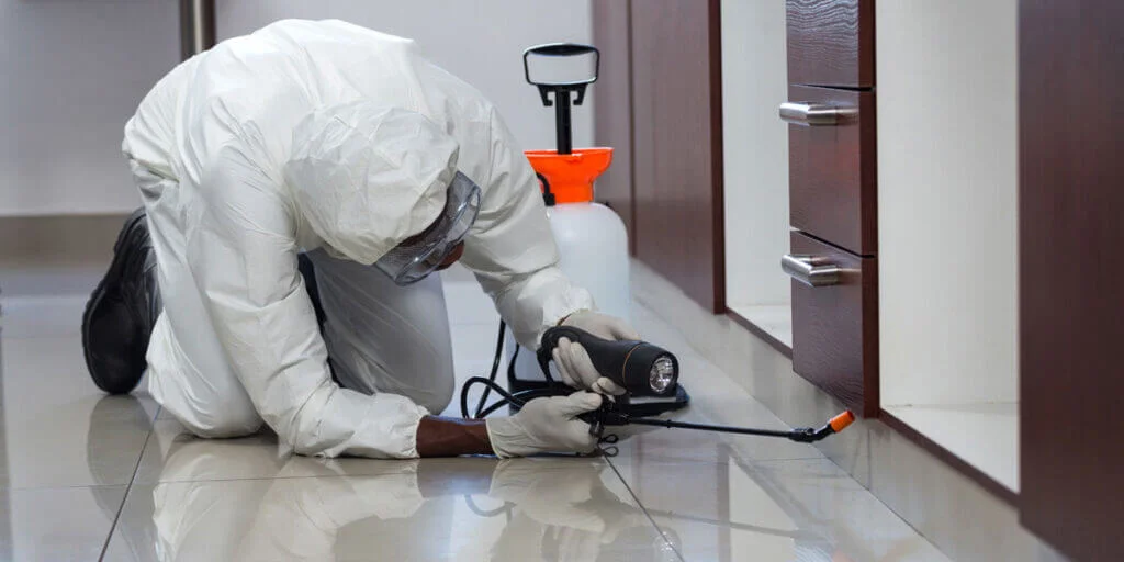 furniture pest control (1) (6) Furniture Pest Control